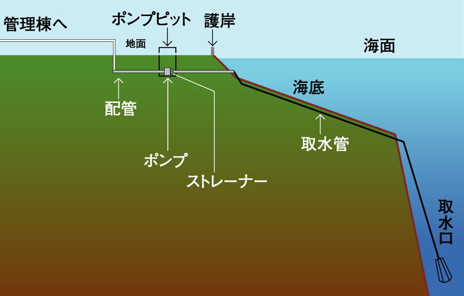 海洋深層水取水システム概要図 — 取水口・取水管・ポンプ・配管・管理棟への経路を示す断面図